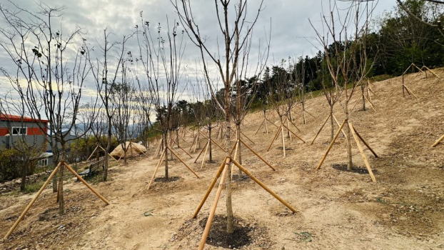 울산시, ‘2023년 기후대응 도시숲 조성 사업’완료